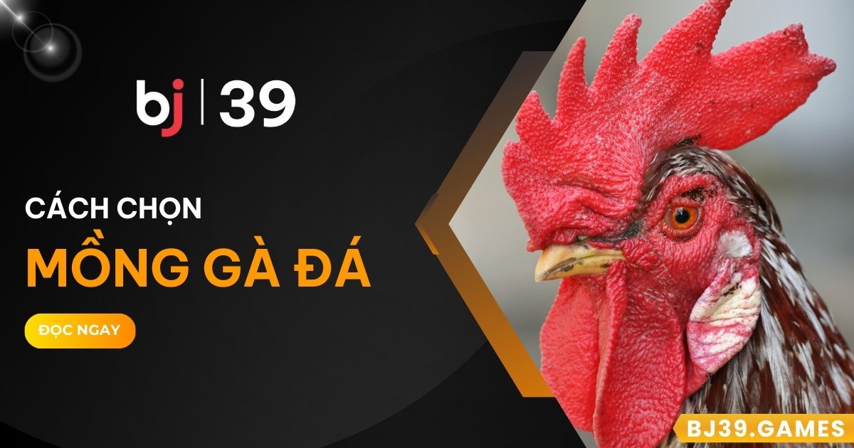 cách chọn mồng gà đá